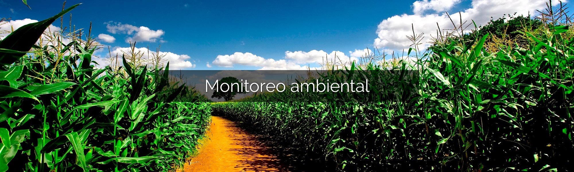 Monitoreo-ambiental